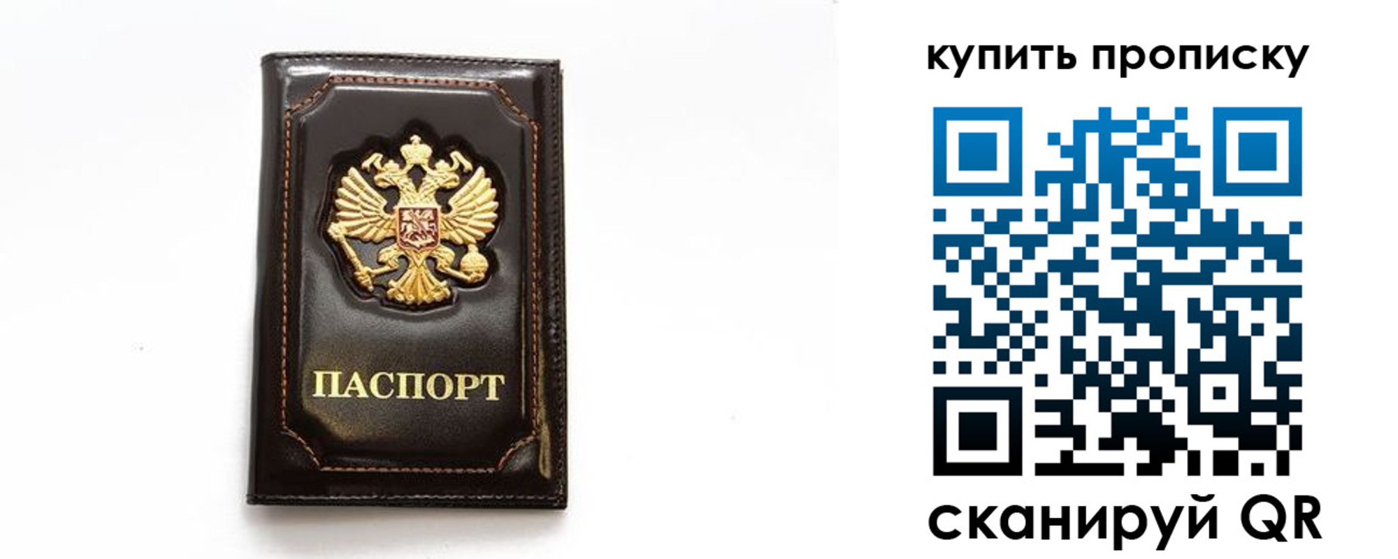 временная регистрация для всех в Коле